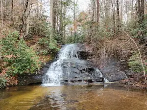 Wildcat Branch Falls