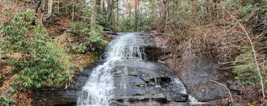 Wildcat Branch Falls