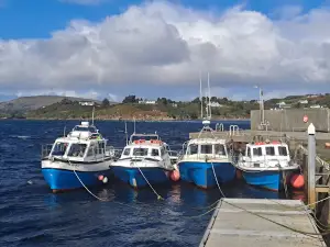 Sliabh Liag Boat Trips