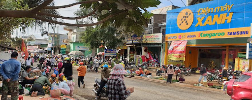 Cho Ngoc Quynh