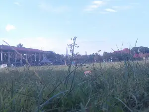Stadion Paelangkuta