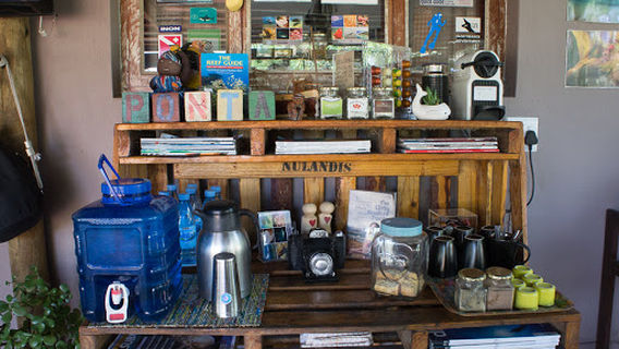 Back to Basics Adventures Scuba Diving