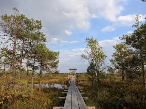 Männikjärve raba õpperada (7,3 km)