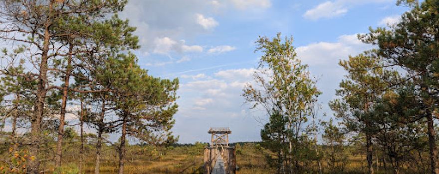 Männikjärve raba õpperada (7,3 km)