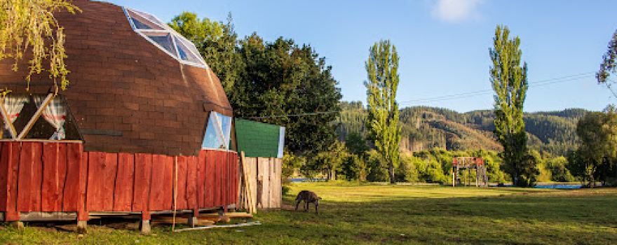Camping y Cabañas Los Boldos