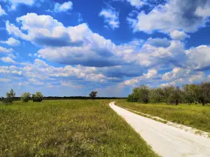 Археологический парк