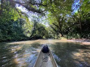 Río Jovi
