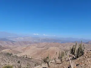 Las Chinchillas National Reserve