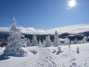 Mont Ernest-Laforce