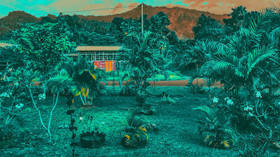 Paia Wara Chill Out Marimari