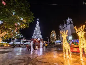 La Pochota