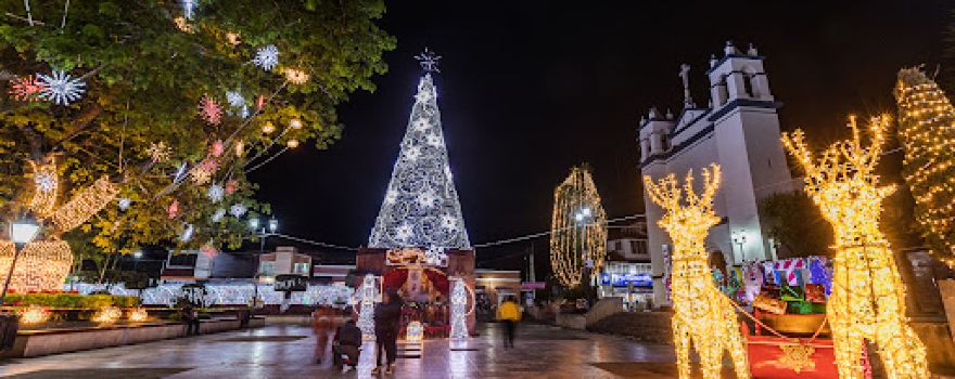 La Pochota