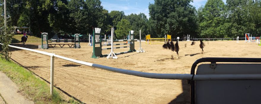 Reit- und Fahrverein "Am Park" Neukirchen e. V.