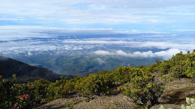 Mount Gede