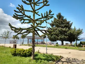 Plaza Quenuir