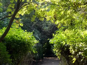Arboretum Krasnoarmeiskii