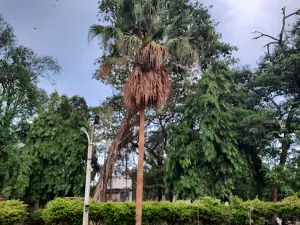 Dr Babasaheb Ambedkar Park