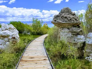Mono Lake Park