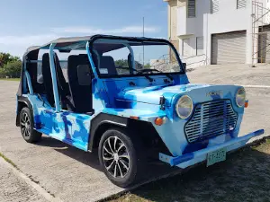 Anegada Rock Iguana Headstart Facility