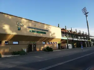 Górnik Łęczna City Stadium