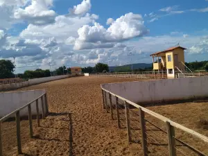 Parque de Vaquejada
