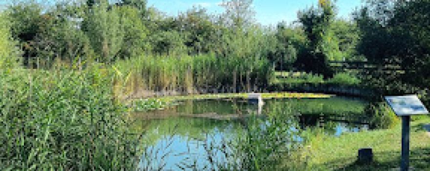 Mare aux Gros