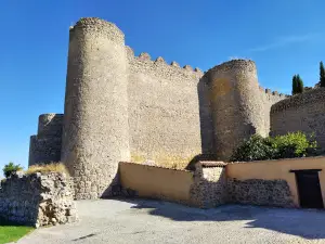Centro e-LEA Miguel Delibes