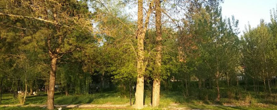 Gümenek Picnic Area