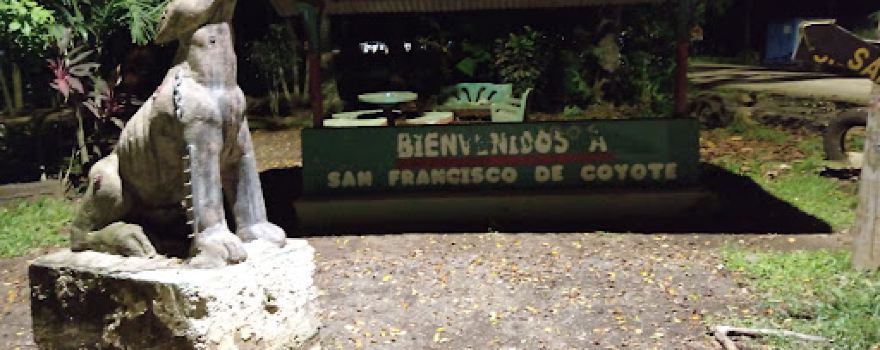 San Francisco de Coyote Park