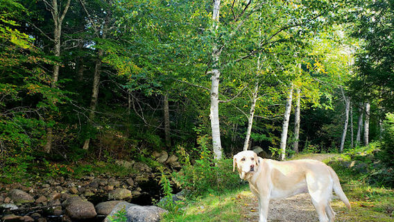 Adventure Center at Waterville Valley