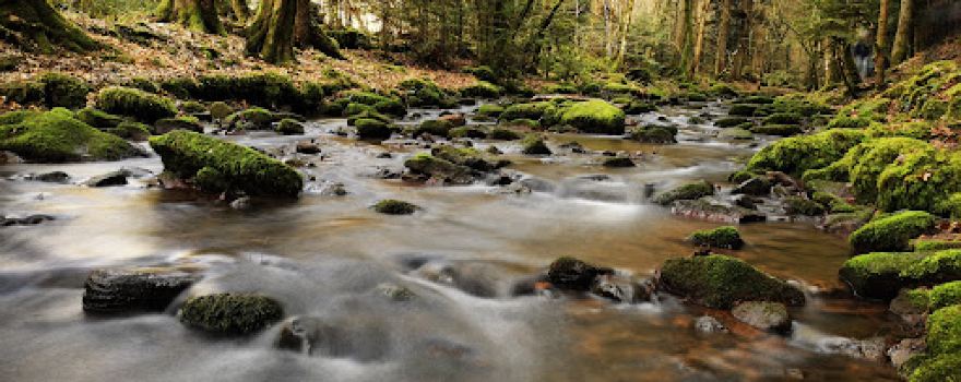 Monbach, Maisgraben und St. Leonhardquelle