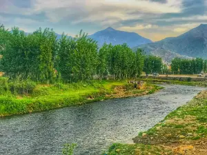 Grassy Ground (گراسی گروانڈ)