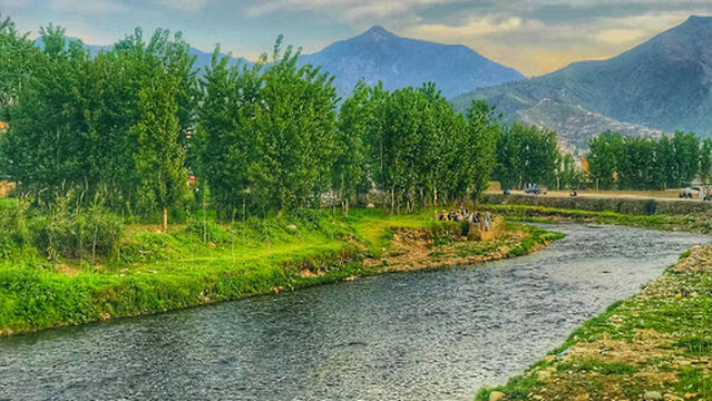 Grassy Ground (گراسی گروانڈ)