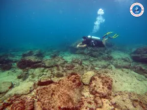 Lebanon Diving Center