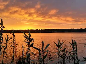 Roodeplaat Dam Provincial Nature Reserve