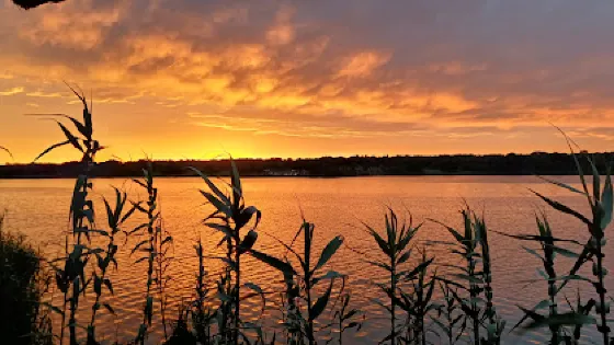 Roodeplaat Dam Provincial Nature Reserve
