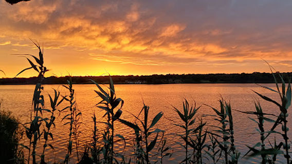 Roodeplaat Dam Provincial Nature Reserve