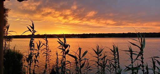 Roodeplaat Dam Provincial Nature Reserve
