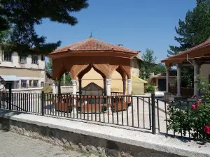 Strange Hafiz Park