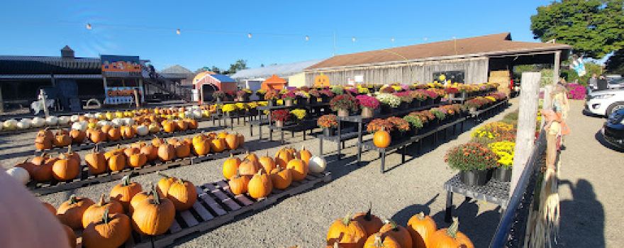 Harvest View Greenhouses