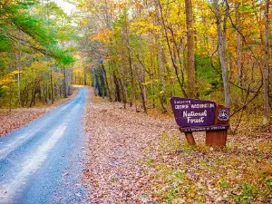 Stony Fork Campground