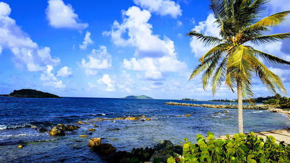 Blue Canyon Charters