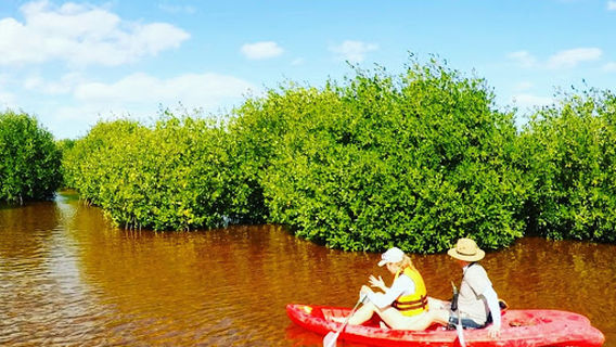 Casa Balam Sisal - Hostel and Tours
