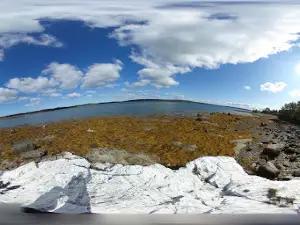 Scott's Landing Preserve