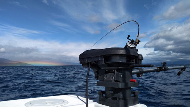 Double Down Guide Service