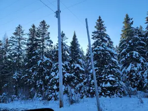 Aroostook National Wildlife Refuge