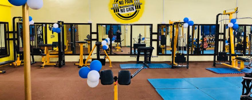 Ultimate Muscle Gym