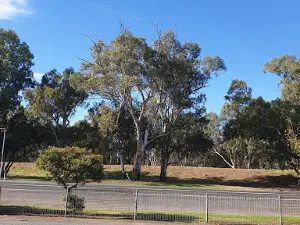 Darlington Point Sports Club