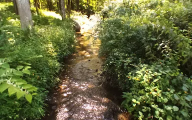 Wolfpit's Nature Preserve