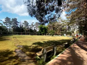 Liaquat Family Park